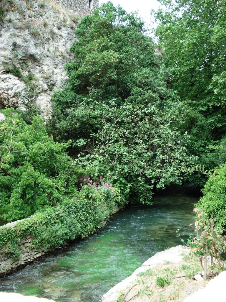 Dans le jardin de Pétrarque..