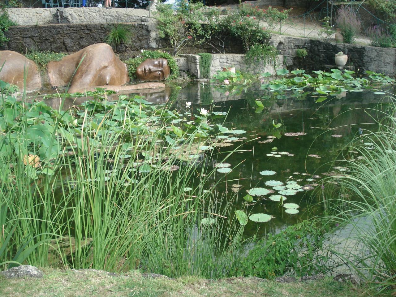 fontaine de Philia et lotus blancs