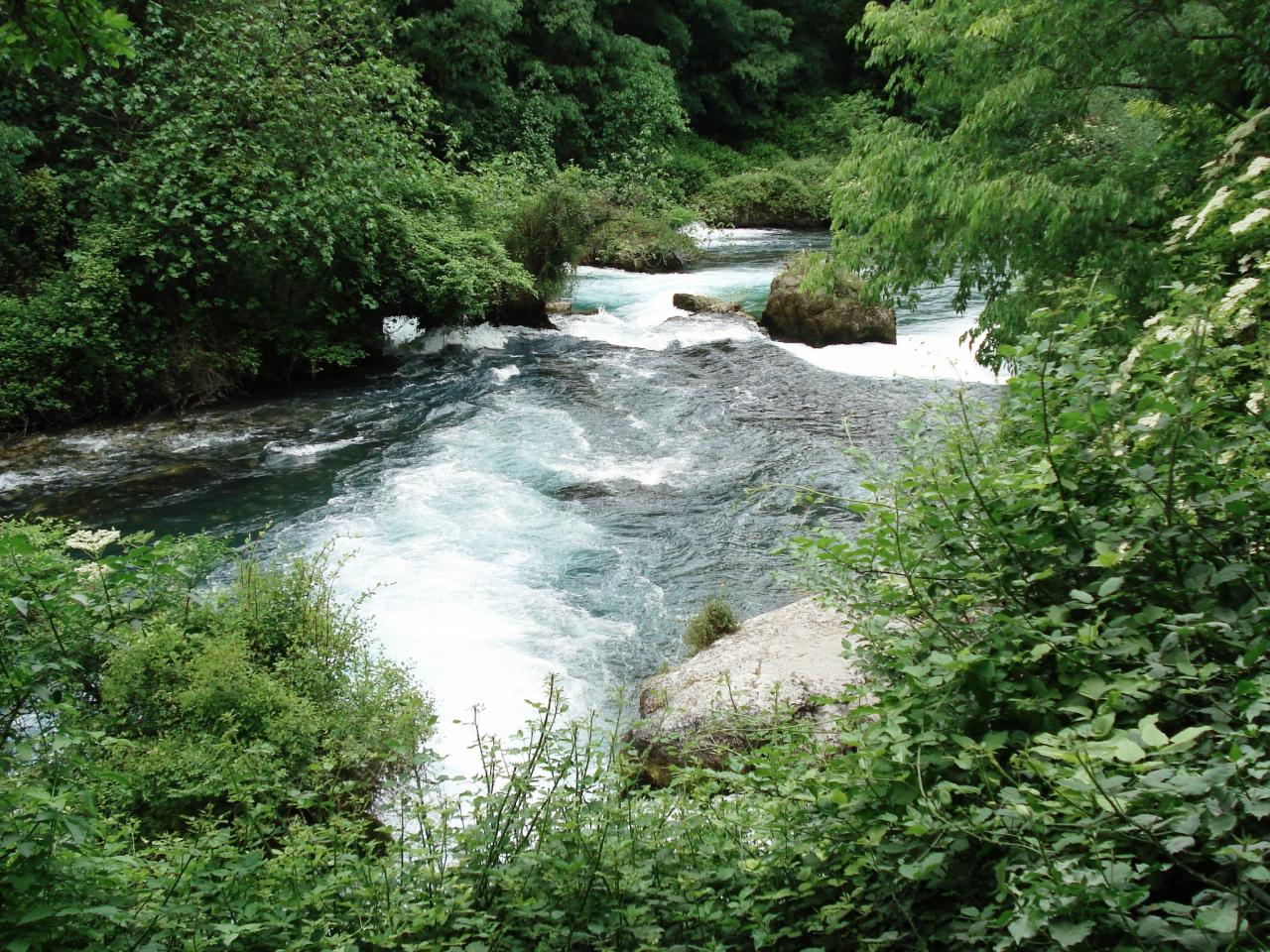 La sorgue.