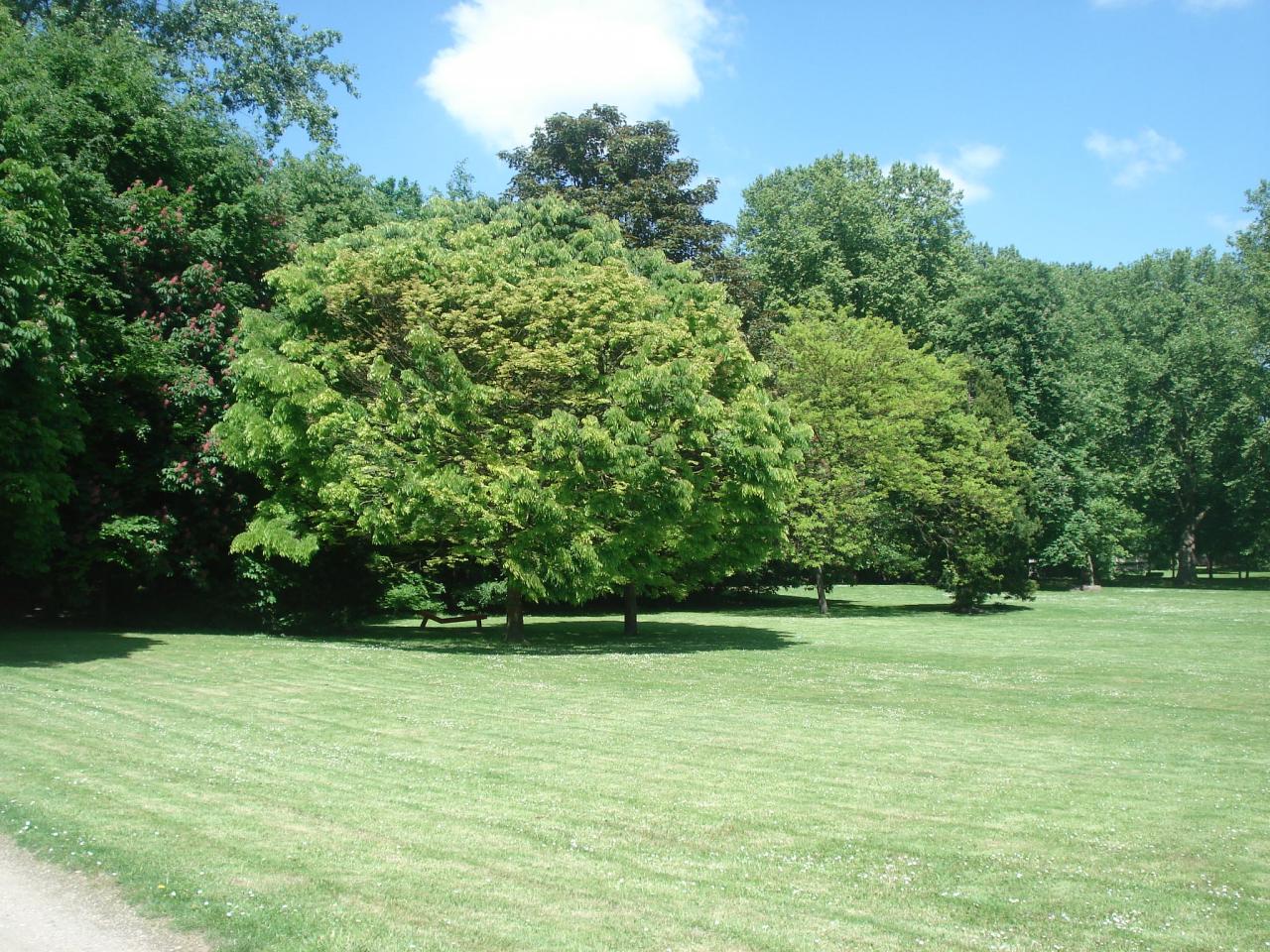 le parc de l'abbaye